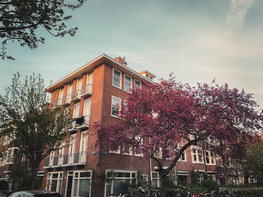 A multi-storey residential building constructed with red brick exterior, featuring several large windows and small balconies with metal railings. The building is surrounded by mature trees, including one with vibrant pink blossoms and another with green foliage, indicating a spring or early summer setting. The sky above is partly cloudy with soft sunlight illuminating the scene. In front of the building, there are parked bicycles and a parked car on the street. The environment suggests a typical urban residential area suitable for house removals or furniture transport, with clear access for moving van loading and unloading. Inside the property, visible through open windows and entrance, are packing materials such as cardboard boxes and protective blankets, consistent with packing and moving activities. The scene captures a calm, organized environment where [COMPANY_NAME] is preparing to assist with a home relocation or furniture moving process in Holland Park, aligning with services for removals and move management.