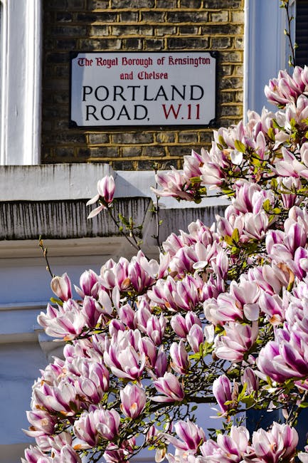 A row of terraced houses in Holland Park, London, seen from the cobblestone street with an overcast sky. The houses feature brick facades, white window frames, and small front gardens with potted plants. Black metal railings and traditional lamp posts are visible along the pavement, and some houses have external fire escape stairs. The image captures the typical residential architecture in the Holland Park area, with a focus on the exterior environment that home relocation and furniture transport services like those offered by the company can navigate when arranging house removals in Kensington and Chelsea. The scene reflects the urban setting where packing and loading processes are part of home moving logistics.