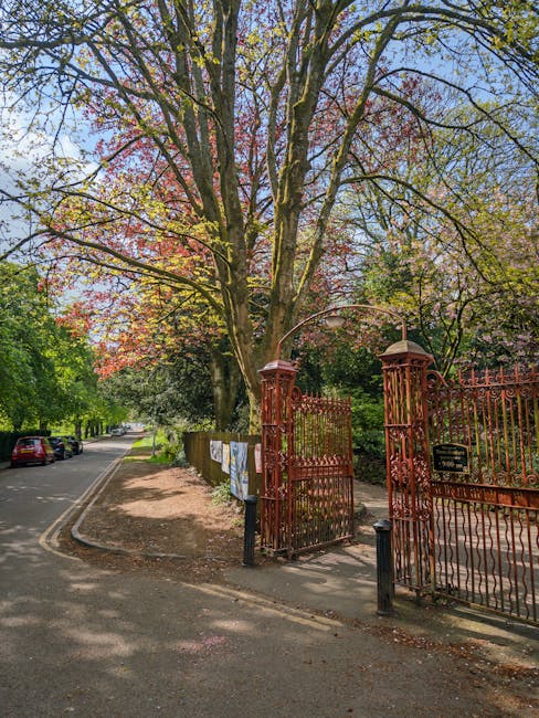 A large tree with budding pink and green leaves dominates the scene, standing behind a red wrought-iron gate with decorative columns and a black plaque. The gate is partially open, revealing a pathway leading into a residential property. To the left, a narrow asphalt street curves gently, bordered by a grassy verge and a row of parked cars. Along the verge, several cardboard boxes and various packing materials are laid out, indicating preparations for a home relocation. The scene suggests a quiet suburban area with mature trees and a peaceful atmosphere. The outdoor setting, with natural lighting filtering through the canopy, captures the calm of a typical move-in or move-out day, as a professional removals service such as [COMPANY_NAME] might assist with furniture transport and packing during a house removal process.
