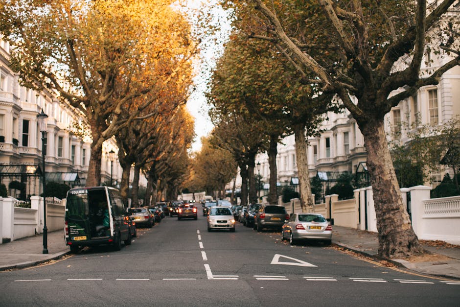 A residential street lined with large, mature trees with green and orange foliage, indicating an autumn setting, and white Victorian-style townhouses with decorative facades and black wrought-iron fences. Parked cars, including sedans and a small van, are along both sides of the road, and a clear, daylight sky illuminates the scene. The street appears calm and quiet, with no visible activity related to removals or moving services. This environment may serve as a suitable location for home relocation or furniture transport activities carried out by a professional removals company such as [COMPANY_NAME], which specializes in packing, loading, and transporting household items in this neighbourhood, supporting efficient house moving logistics.